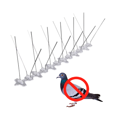 Bird & Pigeon Pest Control