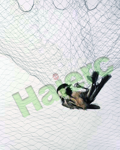 >Haierc Mist Bird Net HC1401-P