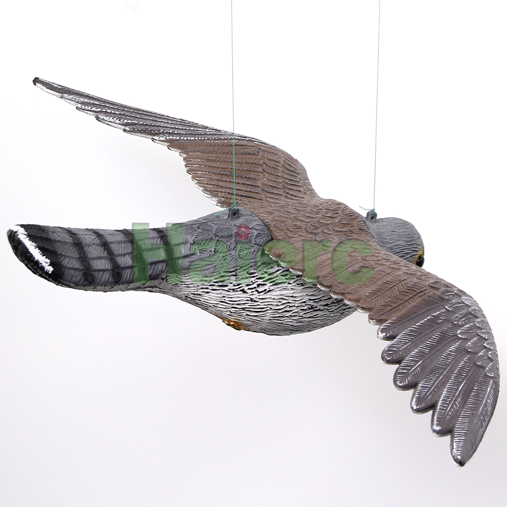 >Flying Wing Eagle Bird Control HC1603